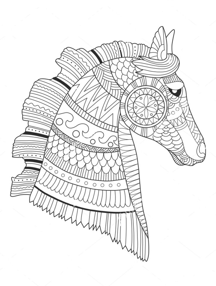 736x974 Majestic Looking Zentangle Coloring Pages Best Animal Images