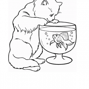 300x300 Coloring Page Template Printing Lf Adult