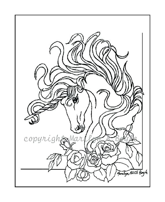 570x698 Loon Coloring Page Loon Coloring Page Blacknd White Drawing