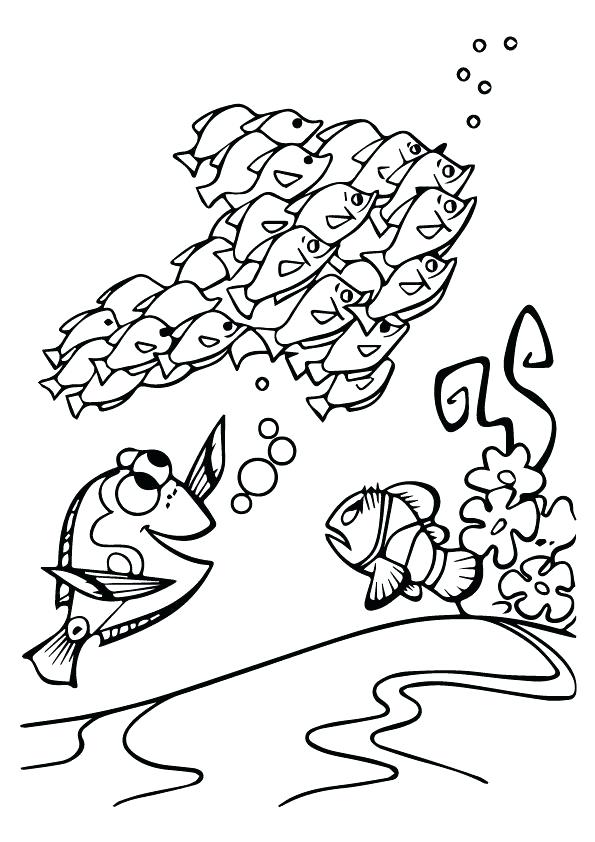 595x842 Wonderful Loon Coloring Page Print Coloring Image Loon Coloring