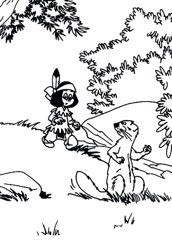 600x844 Common Loon Coloring Page Free Printable Coloring Pages Click