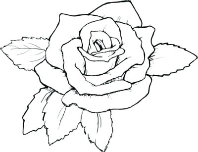400x307 Compass Rose Coloring Page Rose For Coloring Printable Roses