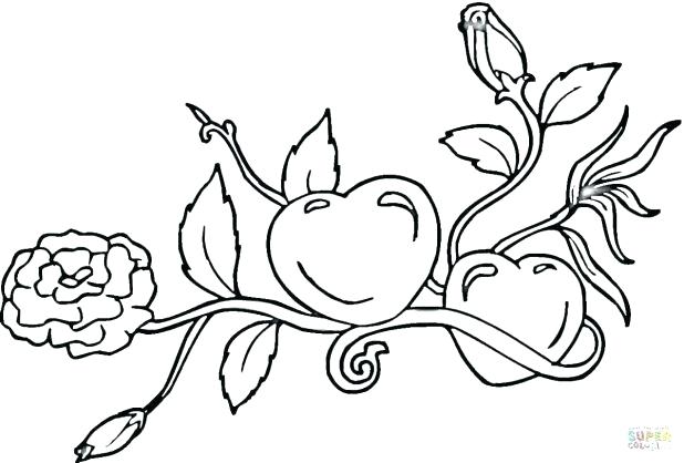 618x418 Roses Coloring Pages Click The Hearts And Roses Coloring Pages