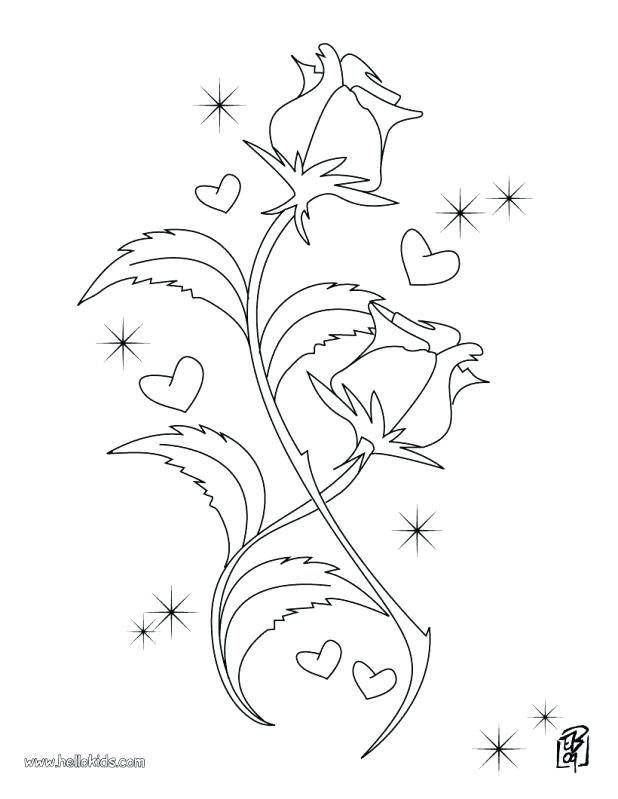 618x799 Marvellous Compass Rose Coloring Page Usedauto Club