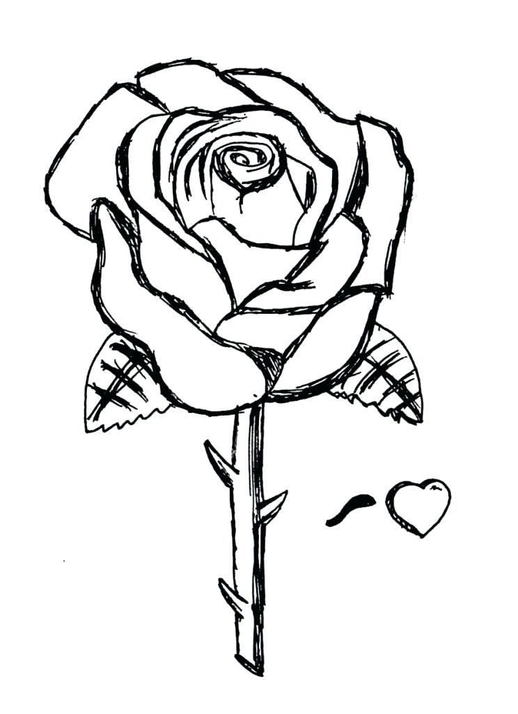744x1024 Coloring Pages Rose Coloring Pages Of A Rose Compass Rose Coloring