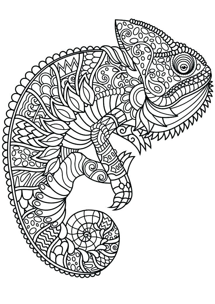 736x1040 Complex Animal Coloring Pages Animals Difficult For Adults Free