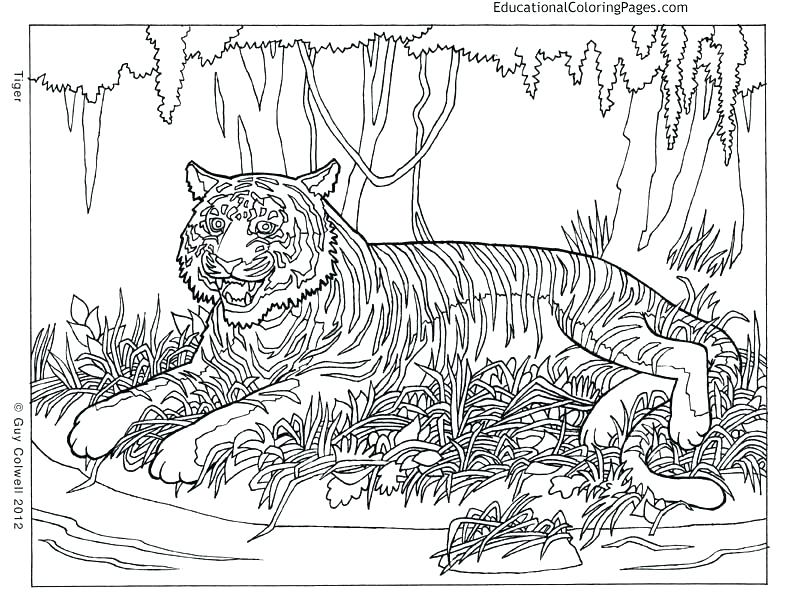 792x612 Hard Animal Coloring Pages Intricate Animal Coloring Pages