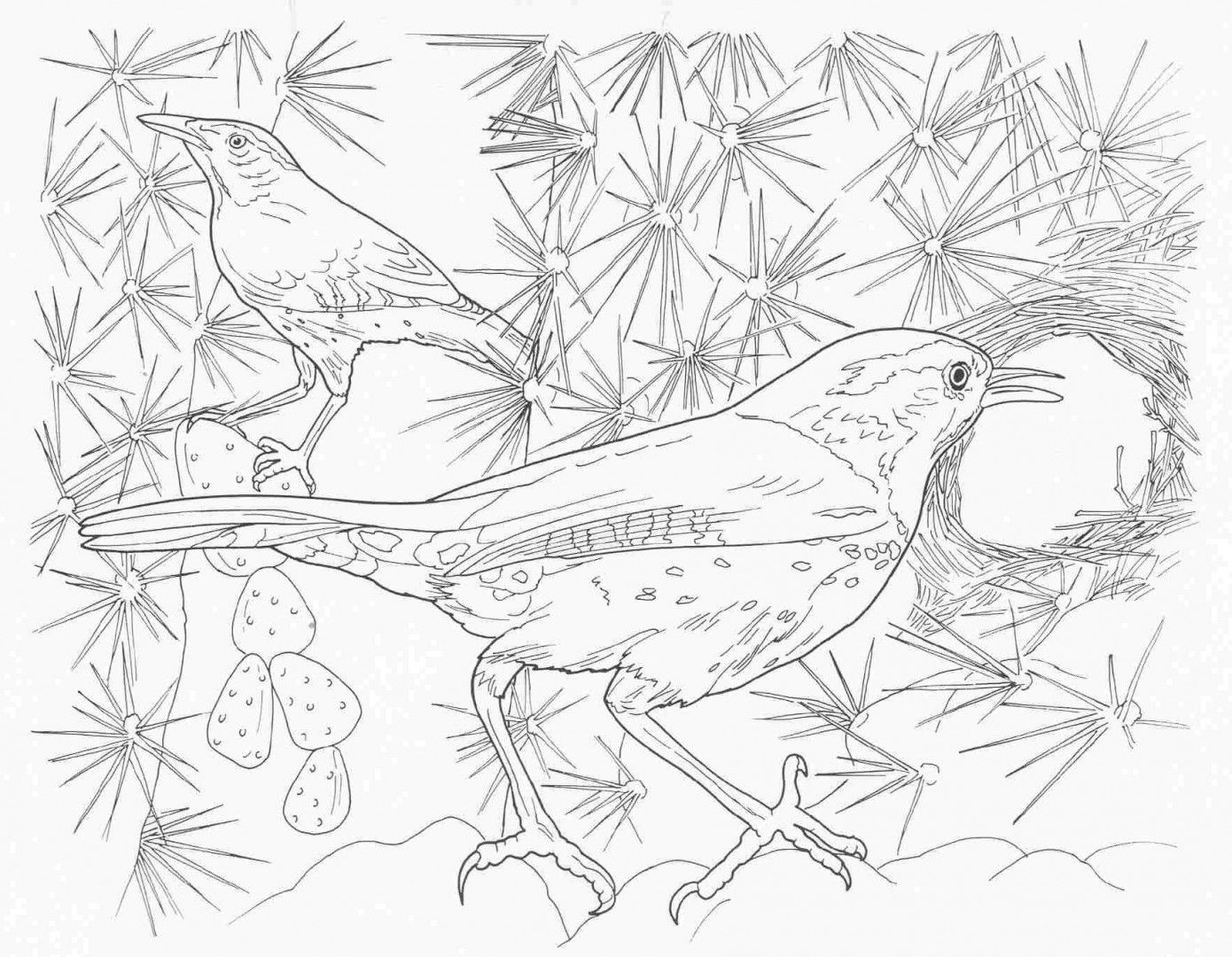 1390x1080 Simple Complex Animal Coloring Pages