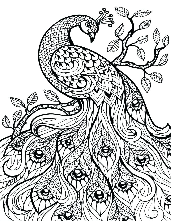 687x890 Detailed Animal Coloring Pages