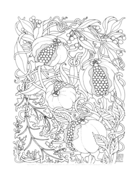 585x757 Print Download