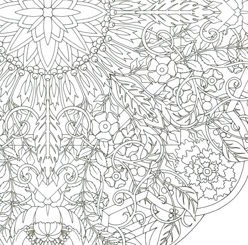 808x800 Complex Coloring Pages For Adults Com Coloring Pages Pictures
