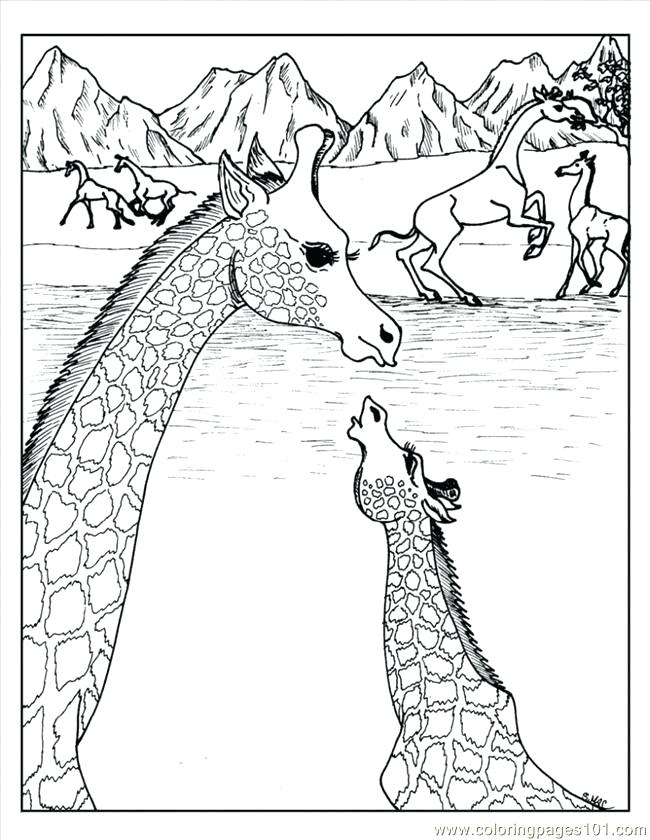 650x840 Complex Coloring Page Complex Coloring Pages Of Animals Complex
