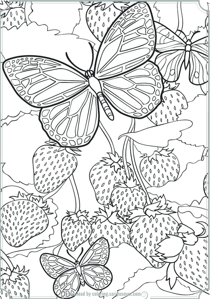 720x1024 Detailed Butterfly Coloring Pages Detailed Butterfly Coloring