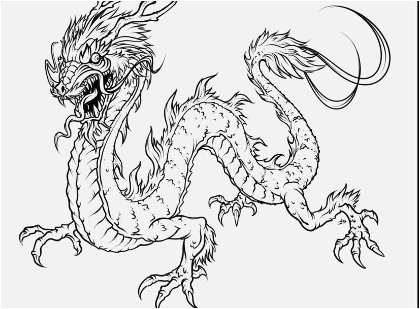 827x609 Chinese Coloring Pages Design Superb Dragon Coloring Pages