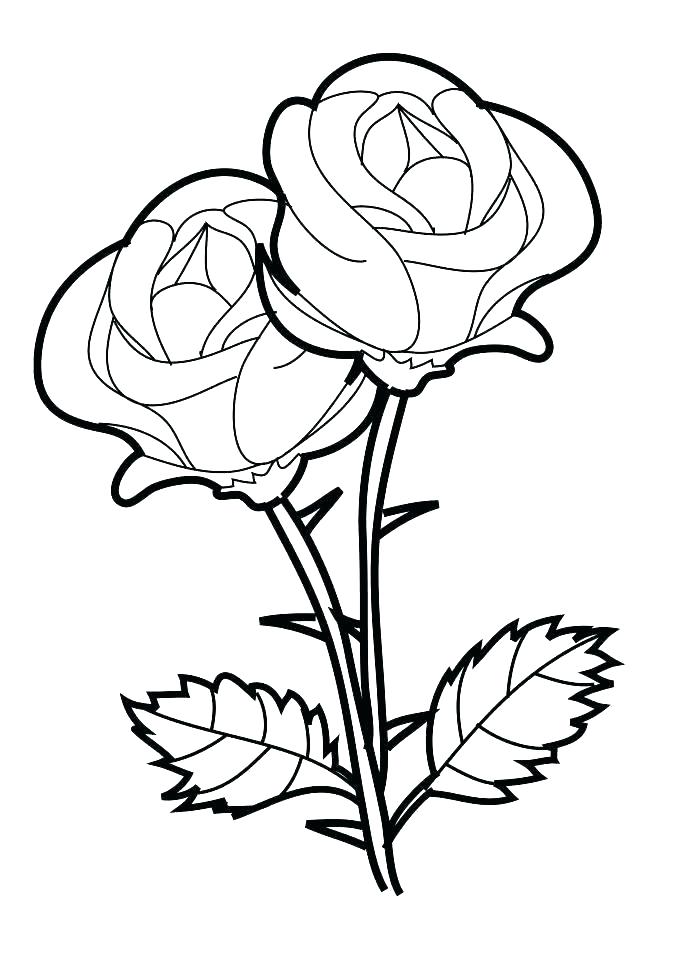 687x972 Printable Flower Coloring Pages For Preschool Printable Coloring