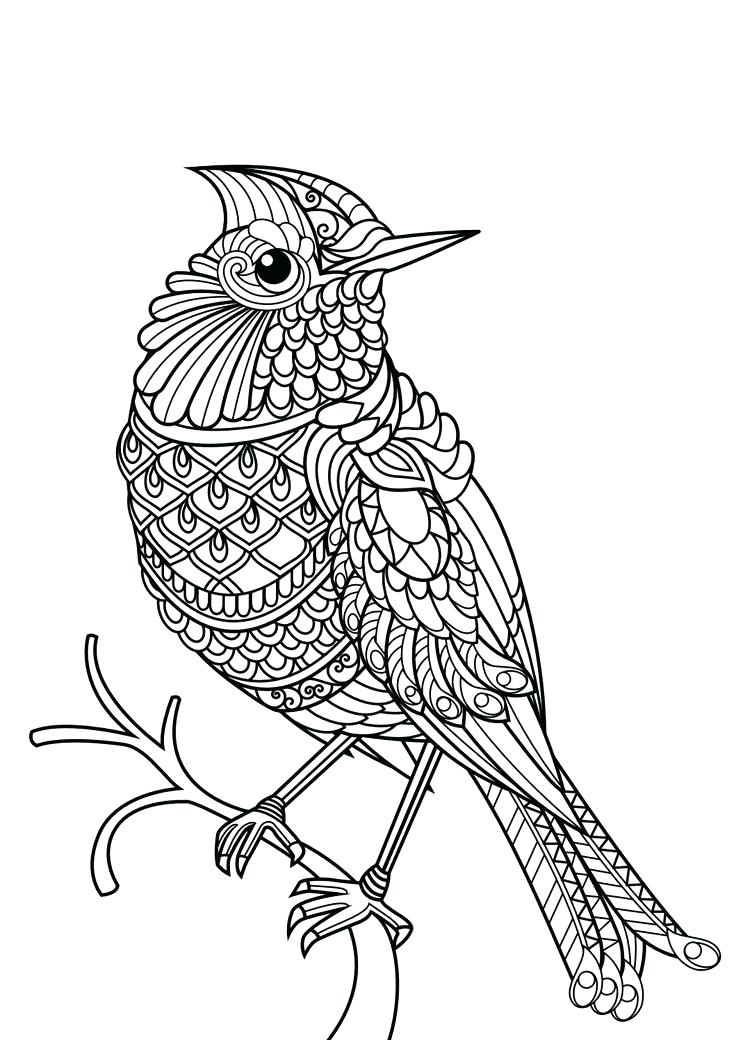 736x1040 Best Images On Animal Coloring Pages Difficult Animal Coloring