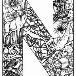 268x268 Daily Coloring Pages Animal Alphabet Archives