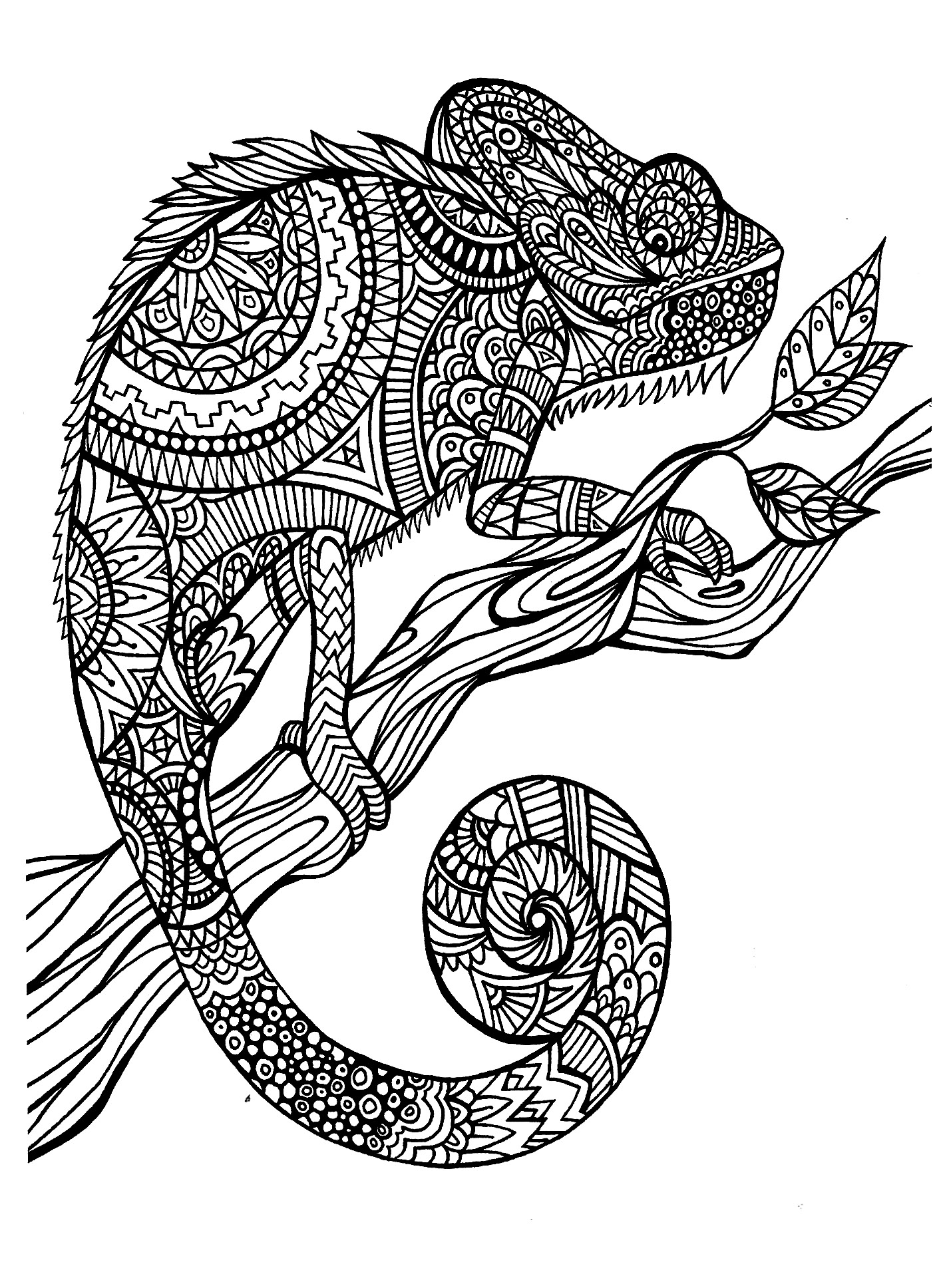 1417x1936 New Difficult Coloring Pages Montenegroplaze Free Coloring Pages