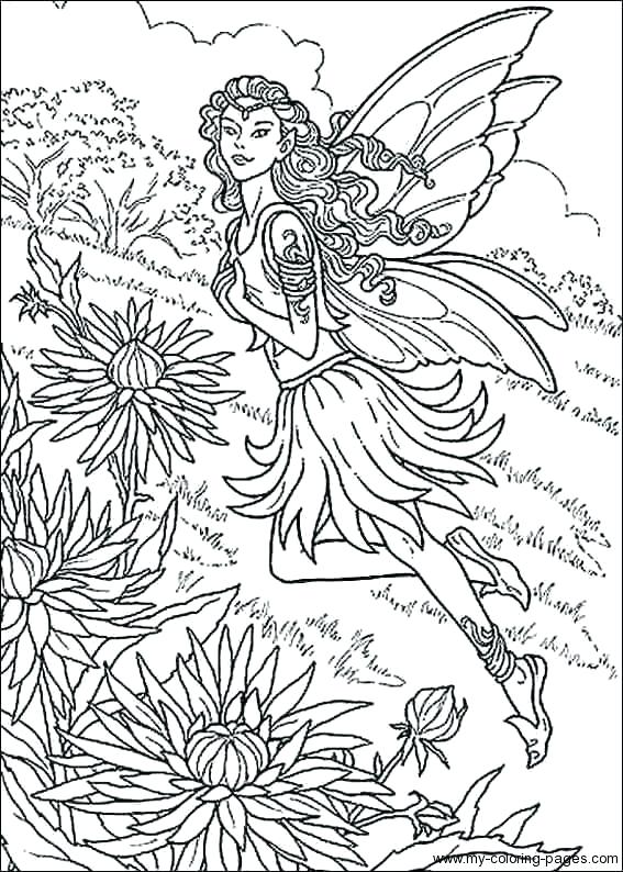 567x794 Fairy Colouring Picture Fairy Printable Coloring Pages