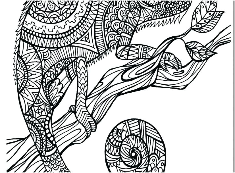 827x609 Animal Coloring Pages For Adults Fresh Challenging Coloring Pages