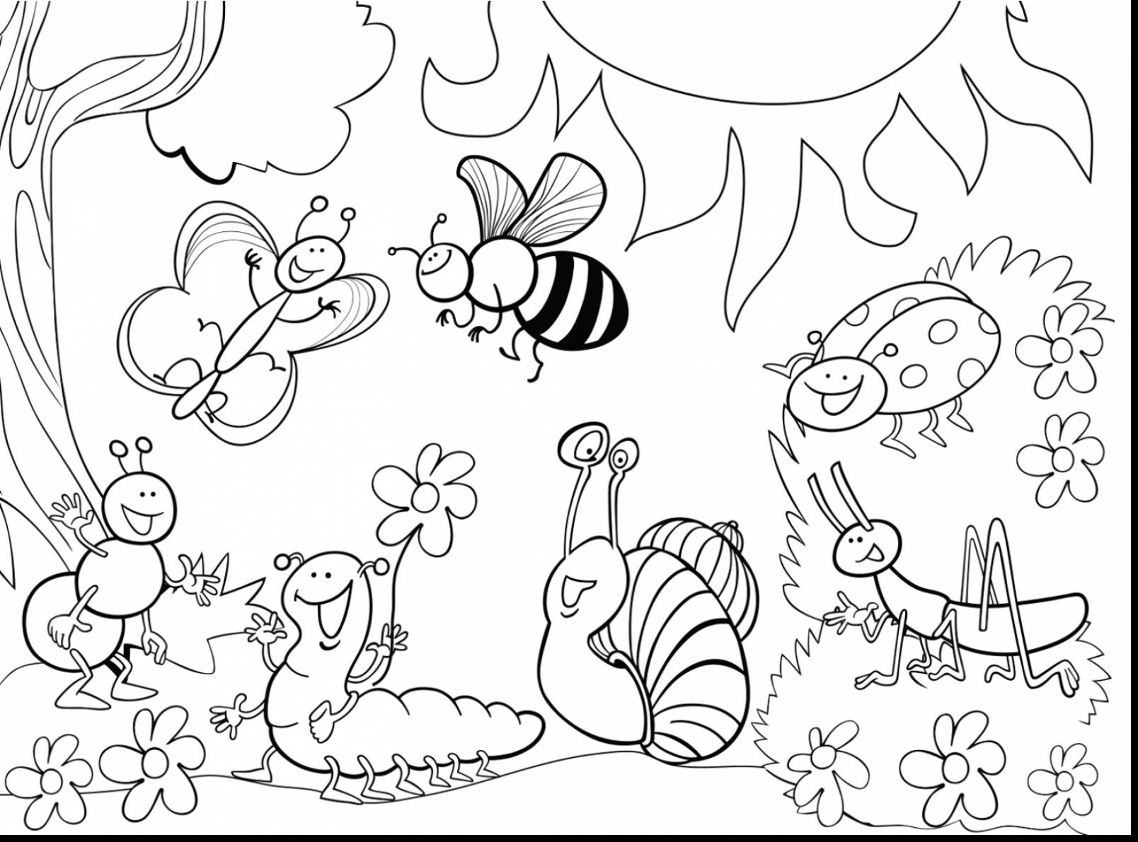 1608x1191 Draw Bug Coloring Pages About Remodel Free For Kids