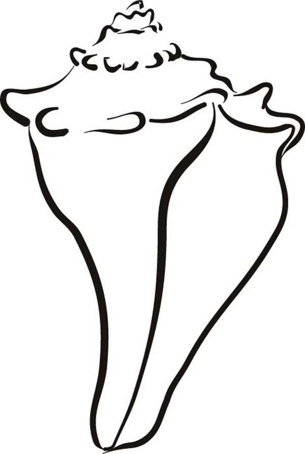 600x892 Drawn Shell Queen Conch Many Interesting Cliparts