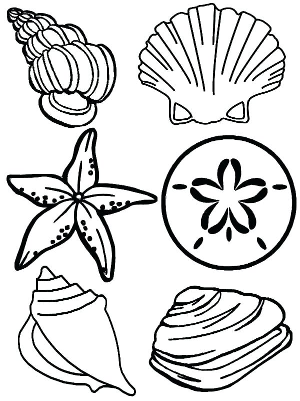 600x800 Sea Shell Coloring Page Sea Shell Coloring Page Fighting Conch