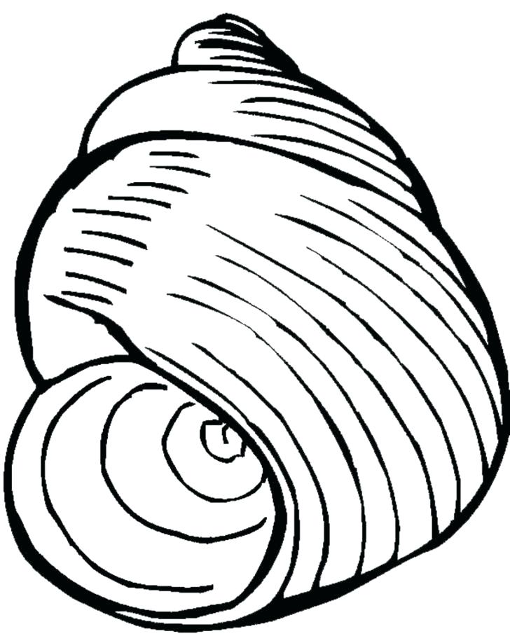 728x918 Sea Shell Coloring Page Seashell Coloring Page Sea Shell Pages