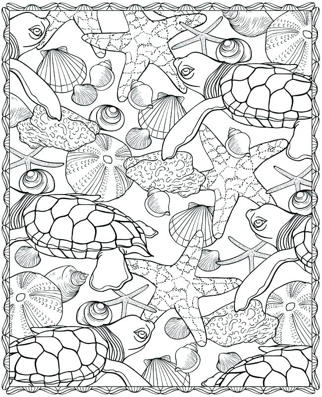 650x800 Seashell Coloring Page Sea Shell Coloring Page Fighting Conch