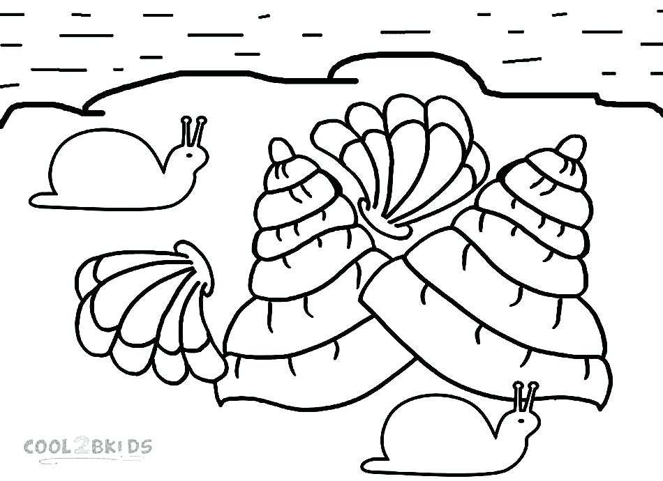 950x690 Seashells Coloring Page Seashell Coloring Pages Fighting Conch