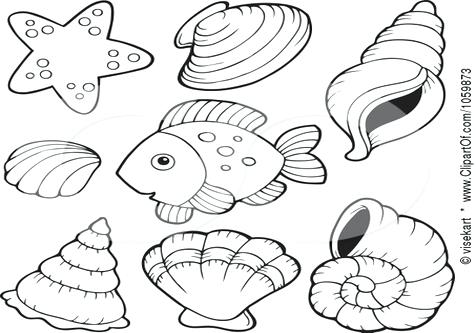 476x333 Shell Coloring Pages Coloring Page Shell Nature Printable Coloring