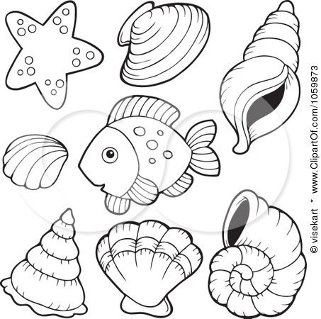 453x450 Conch Shell Coloring Page Coloring Pages Shell