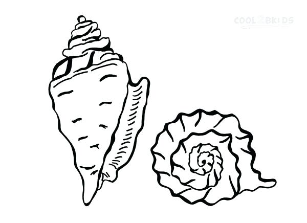 600x436 Coloring Pages Disney Moana Seashells Page Seashell A Lovely