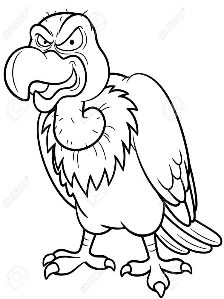 750x1000 Condor Coloring Pages Download And Print Condor Coloring Pages