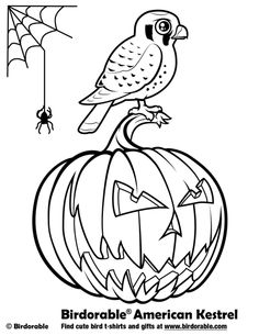 236x305 Halloween Coloring Page With Birdorable California Condor