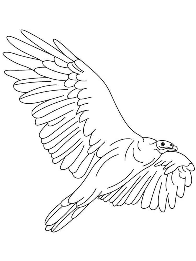 750x1000 Vulture Coloring Pages Download And Print Vulture Coloring Pages