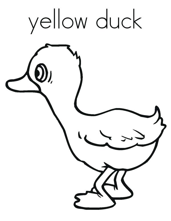 600x776 Constellations Coloring Pages Yellow Duck Coloring P And Yellow
