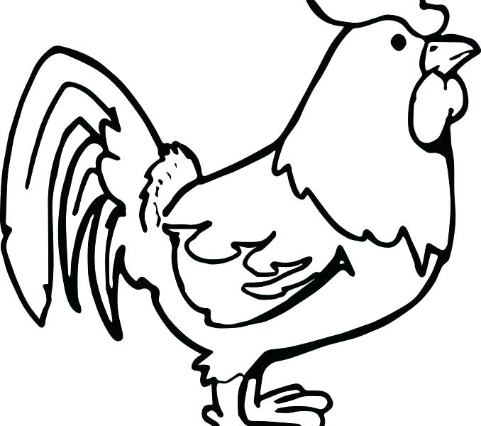 678x600 Chicken Outline Or Click The Chicken Outline Coloring Pages
