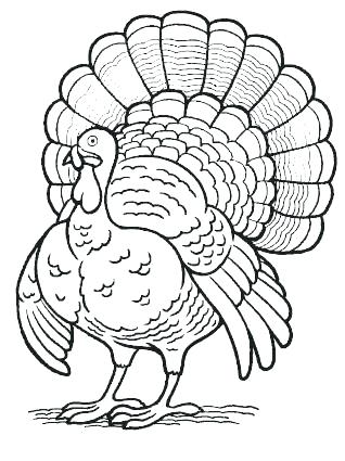 318x425 Turkey Coloring Page For Kids Thanksgiving Cooked Turkey Coloring