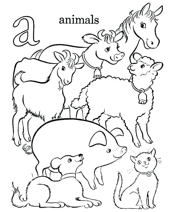 670x820 Hard Animal Coloring Pages Cool Animal Coloring Pages Coloring
