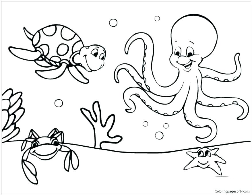 878x683 Ocean Animals Coloring Pages Icontent
