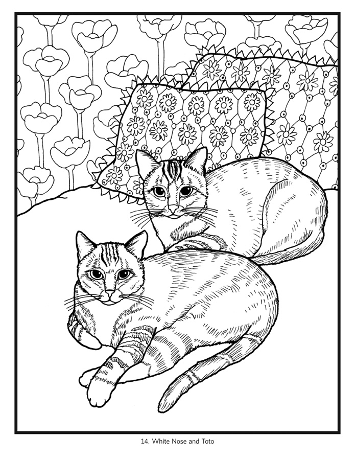 695x900 Cb Lovely Coloring Book Cats