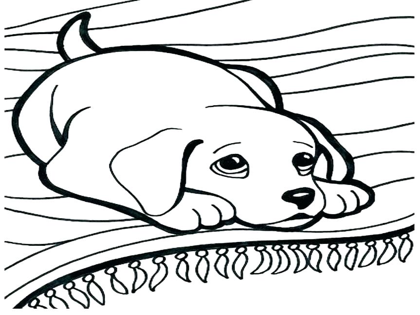 863x647 Cool Cat Coloring Pages Dogs And Cats Coloring Pages Dog And Cat