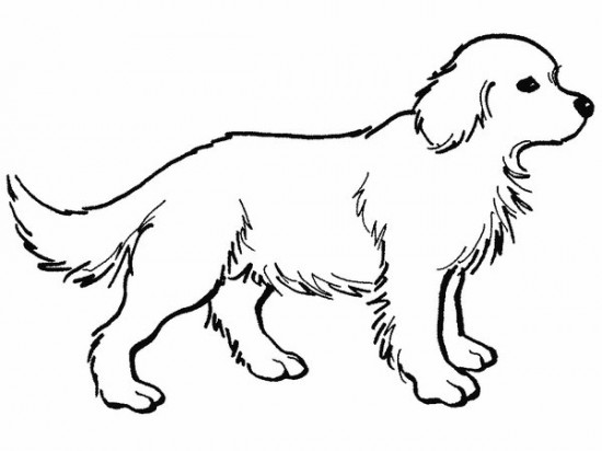 550x412 Pretty Design Ideas Dog Coloring Pages Printable Adult Realistic