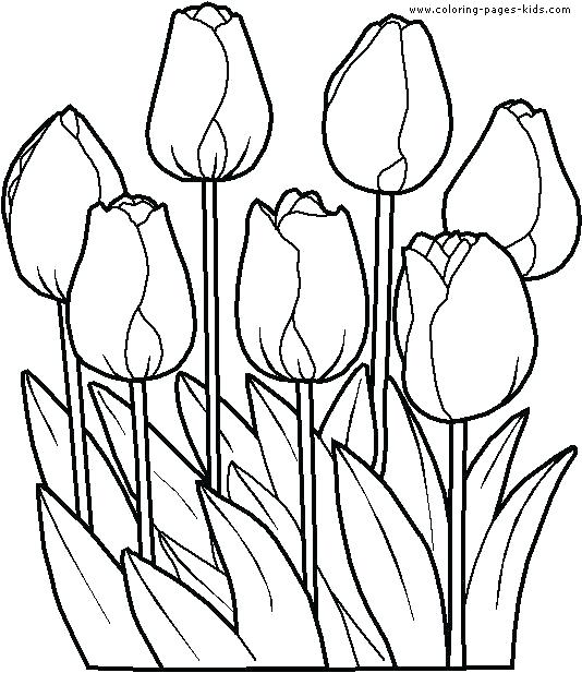 534x617 Coloring Pages Of Flowers For Adults Coloring Pages Flowers Modern