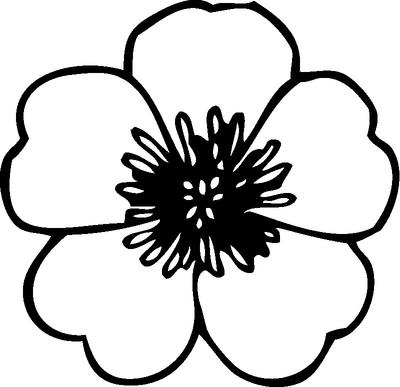 800x774 Coloring Page Flower Flower Coloring Pages Coloring Pages For Kids