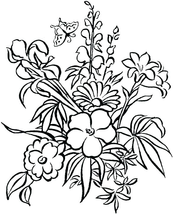 585x720 Coloring Images Of Flowers Flower Coloring Pages For Kids To Print