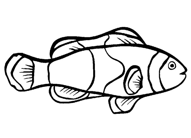 650x469 Fish Template Free Printable, Pdf Documents Download! Free