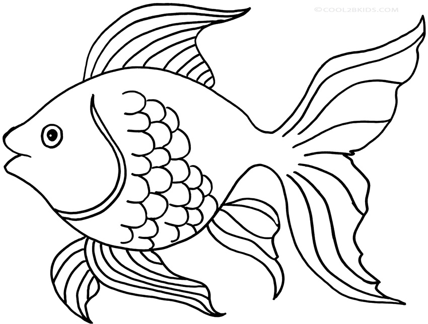 850x644 Goldfish Coloring Pages Free Coloring