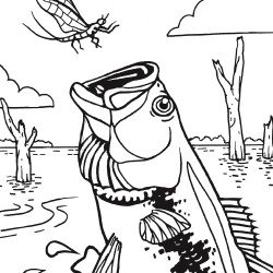 250x250 Top Fishing Coloring Pages